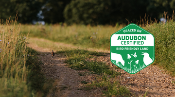 Winter on the Wing: How Horstmann Cattle Company Supports Migratory Birds in Owensville, Missouri