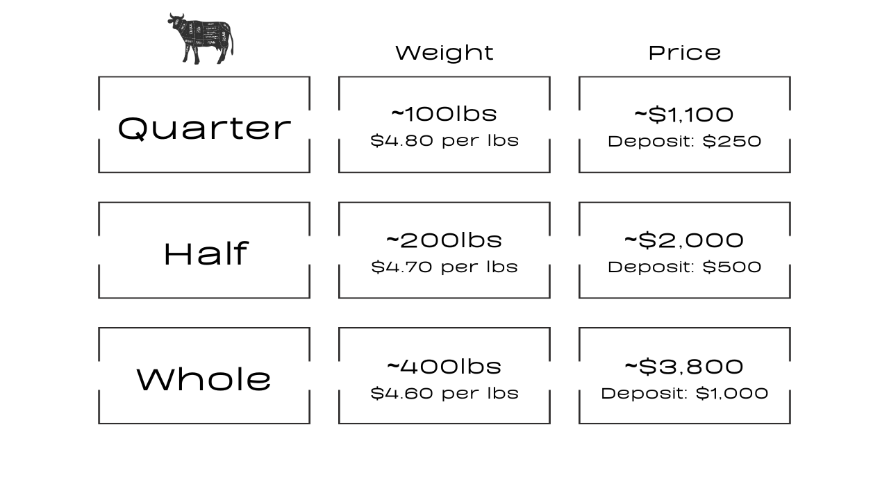 Bulk Beef Quarters Halves And Whole Horstmann Cattle Company bulk-beef-quarters-halves-and-whole-horstmann-cattle-company
